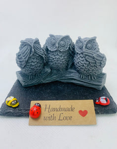 Wise Owls 70g