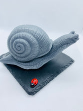 Load image into Gallery viewer, Slimer The Snail - 160g
