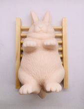 Load image into Gallery viewer, Large Lazy Rabbit 250g

