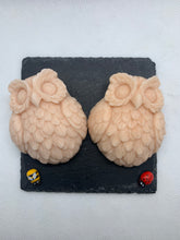 Load image into Gallery viewer, Twin Owls 120g - Set of 2 - Gift Boxed
