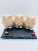 Load image into Gallery viewer, Set of 3 - Barn Owls 120g - Gift Boxed
