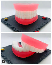 Load image into Gallery viewer, Denture Soap 70g / Vegan / Spearmint
