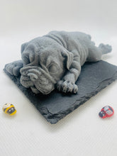 Load image into Gallery viewer, Sleepy Shar Pei Soap 150g
