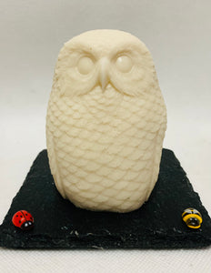 Large 3D Owl - 200g
