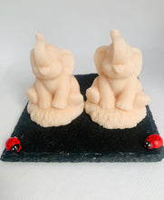 Load image into Gallery viewer, Baby Elephants 90g - Set of 2 - Gift Boxed

