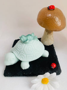 Tilly The Turtle & Frog Soap 80g