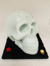 Load image into Gallery viewer, Large Skull 300g
