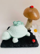 Load image into Gallery viewer, Tilly The Turtle &amp; Frog Soap 80g
