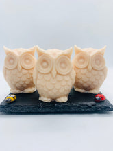 Load image into Gallery viewer, Set of 3 - Barn Owls 120g - Gift Boxed

