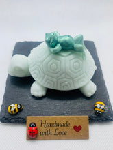 Load image into Gallery viewer, Tilly The Turtle &amp; Frog Soap 80g
