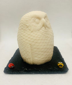 Large 3D Owl - 200g