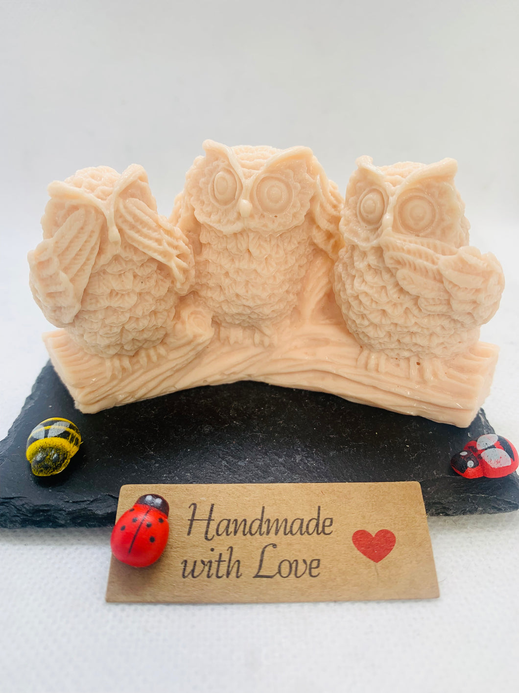 Wise Owls 70g