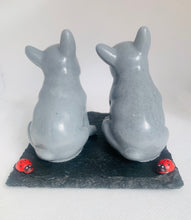 Load image into Gallery viewer, Sitting Frenchies 150g - Set of 2 - Gift Boxed
