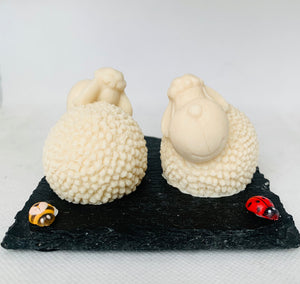 Spring Lambs 120g - Set of 2 - Gift Boxed