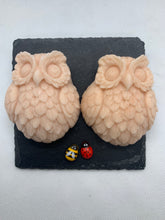 Load image into Gallery viewer, Twin Owls 120g - Set of 2 - Gift Boxed
