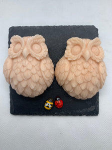 Twin Owls 120g - Set of 2 - Gift Boxed