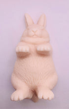Load image into Gallery viewer, Large Lazy Rabbit 250g
