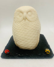 Load image into Gallery viewer, Large 3D Owl - 200g
