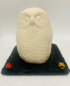 Large 3D Owl - 200g