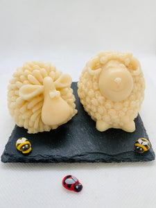 Shaggy Sheep & Curly Ram 180g / Gift Boxed