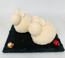 Load image into Gallery viewer, Spring Lambs 120g - Set of 2 - Gift Boxed

